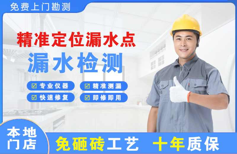 定日精准测漏点